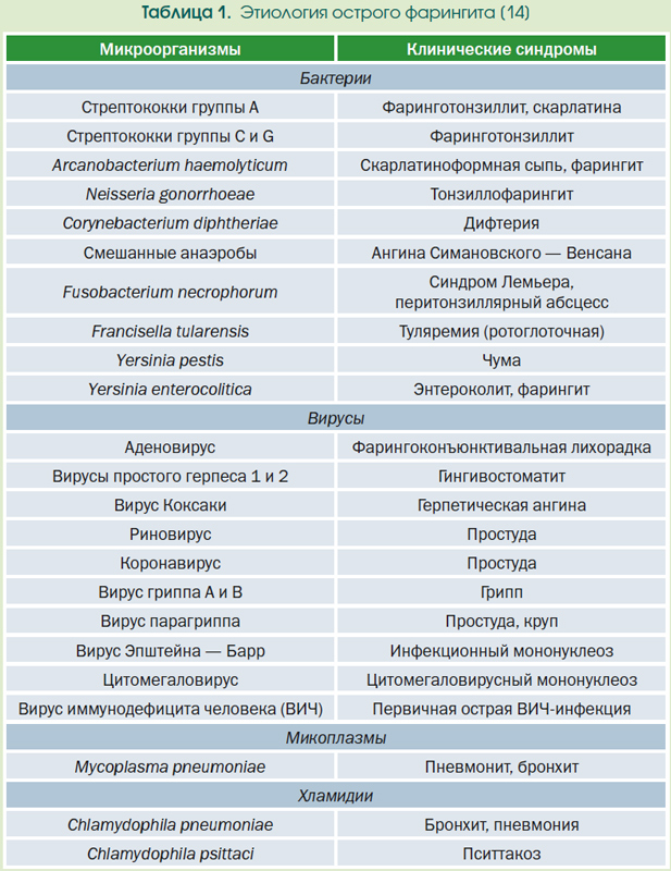 Дифференциальная диагностика ангин презентация