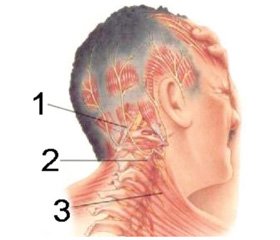Кластерная головная боль — симптомы, диагностика, лечение | Медицинский центр ДА!