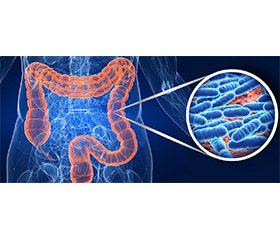 Схильність до метаболічних порушень, асоційована з кишковою мікробіотою, починається під час внутрішньоутробного розвитку і зберігається протягом усього життя