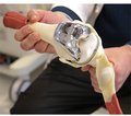 Анестезіологічне забезпечення при протезуванні кульшових і колінних суглобів (науково-літературний огляд)