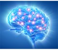 Комбінована нейропротекція при хронічній ішемії головного мозку: цілі, завдання, інструменти