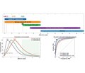 Хірургічне лікування вогнепальних переломів стегнової кістки: роль маркерів запалення