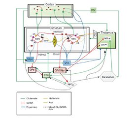 Сучасна тактика діагностики та лікування тикозних розладів