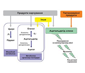 Злоякісні новоутворення губ та ротової порожнини: поширеність в Україні та фактори ризику